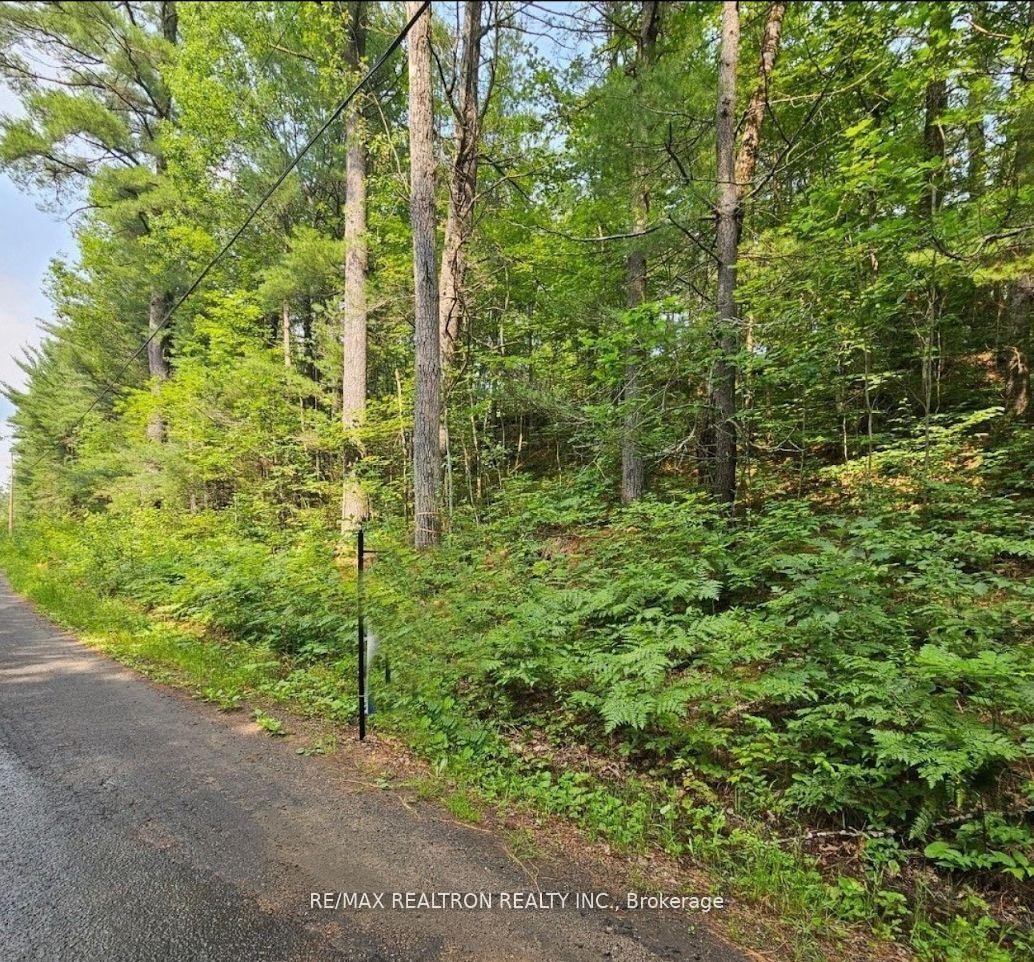 Photo 7 of 5331 Silver Lake Road, Gravenhurst, Muskoka (S) — HOMEH