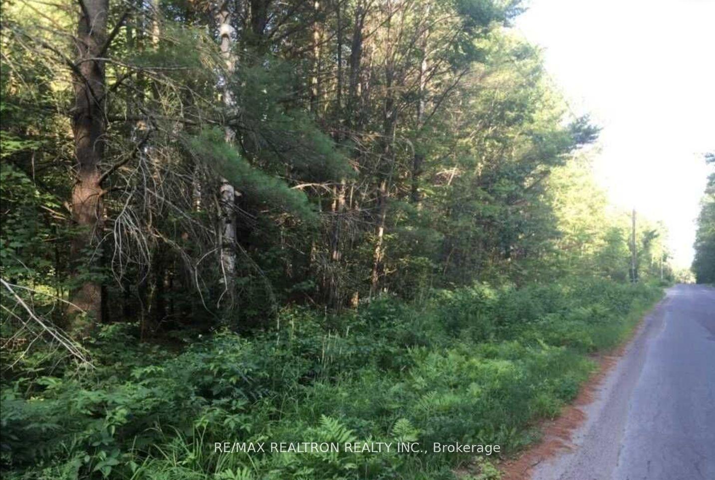 Photo 8 of 5331 Silver Lake Road, Gravenhurst, Muskoka (S) — HOMEH