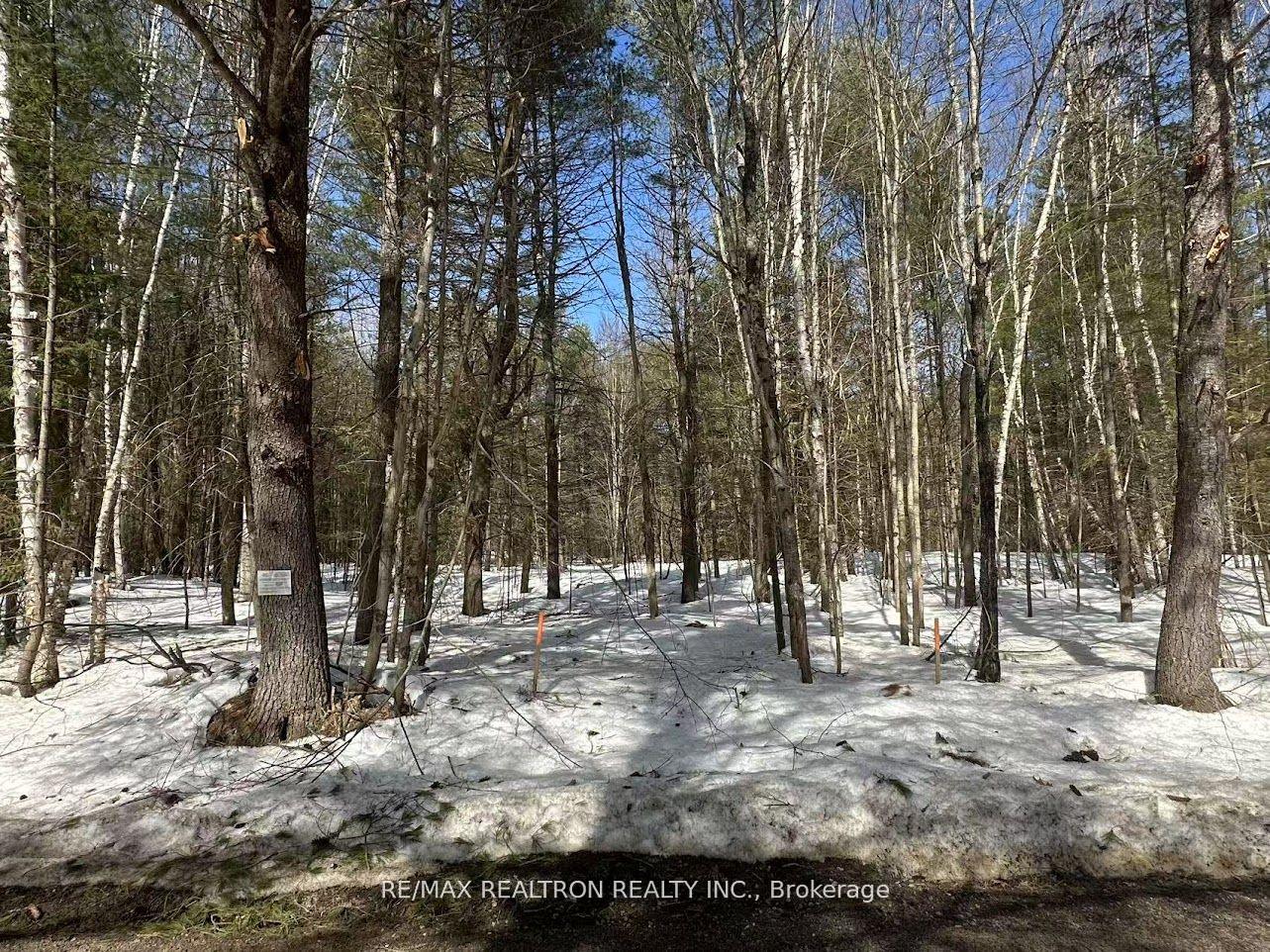 Photo 9 of 5331 Silver Lake Road, Gravenhurst, Muskoka (S) — HOMEH
