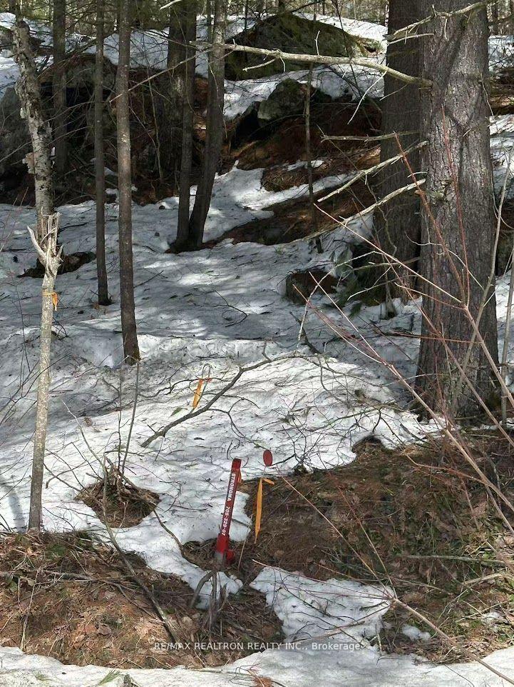 Photo 10 of 5331 Silver Lake Road, Gravenhurst, Muskoka (S) — HOMEH