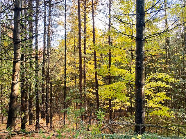 Photo 2 of 17921 Highway 50 Road, Caledon, Bolton East — HOMEH