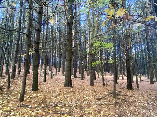 Photo 3 of 17921 Highway 50 Road, Caledon, Bolton East — HOMEH
