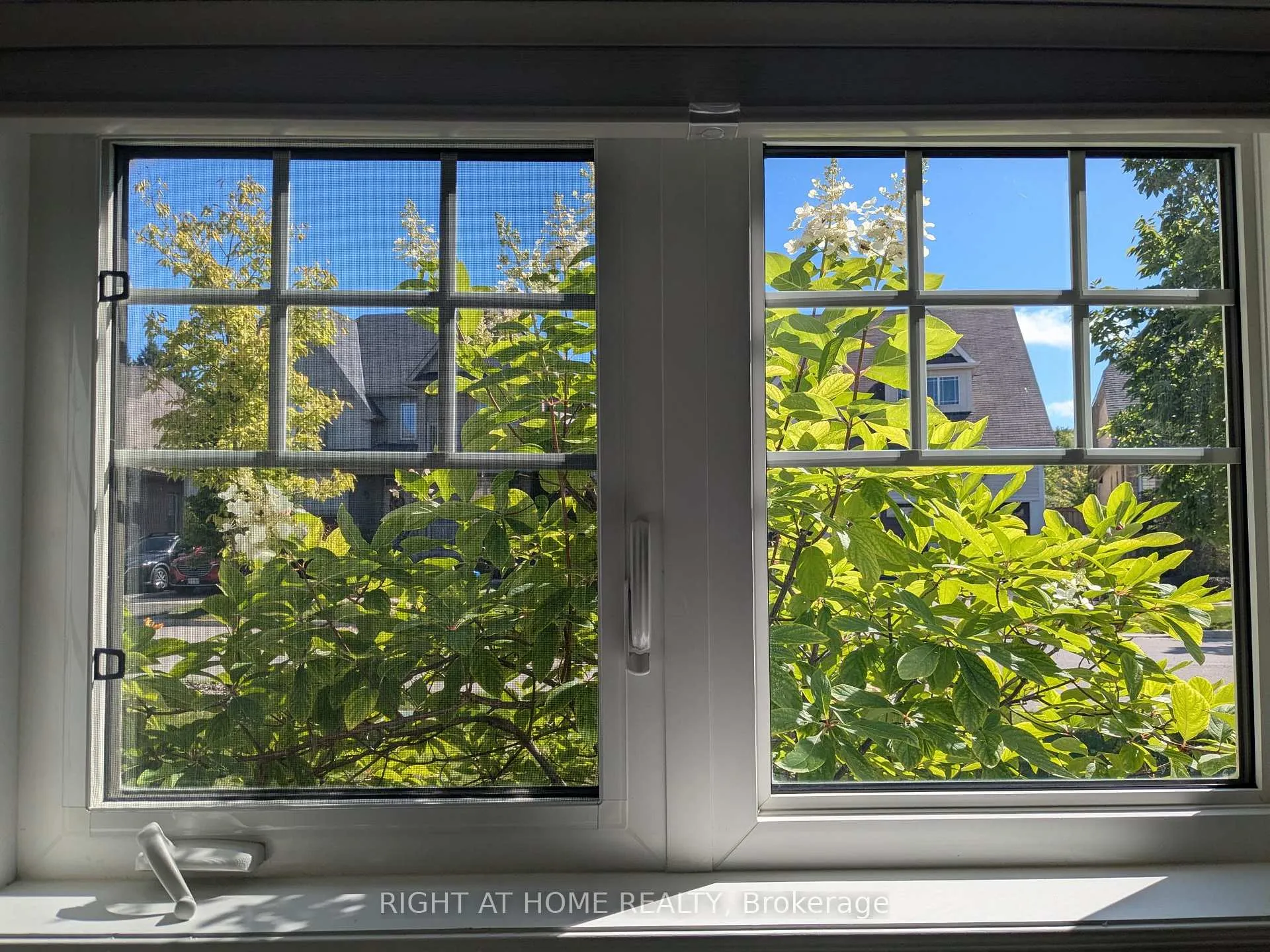 Photo 35 of 28 Timberbank Square, Georgina, Sutton & Jackson's Point — HOMEH