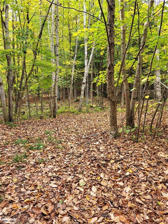 Photo 15 of 51 Lake Forest Drive, McDougall — HOMEH