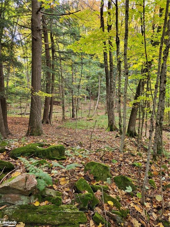 Photo 16 of 51 Lake Forest Drive, McDougall — HOMEH