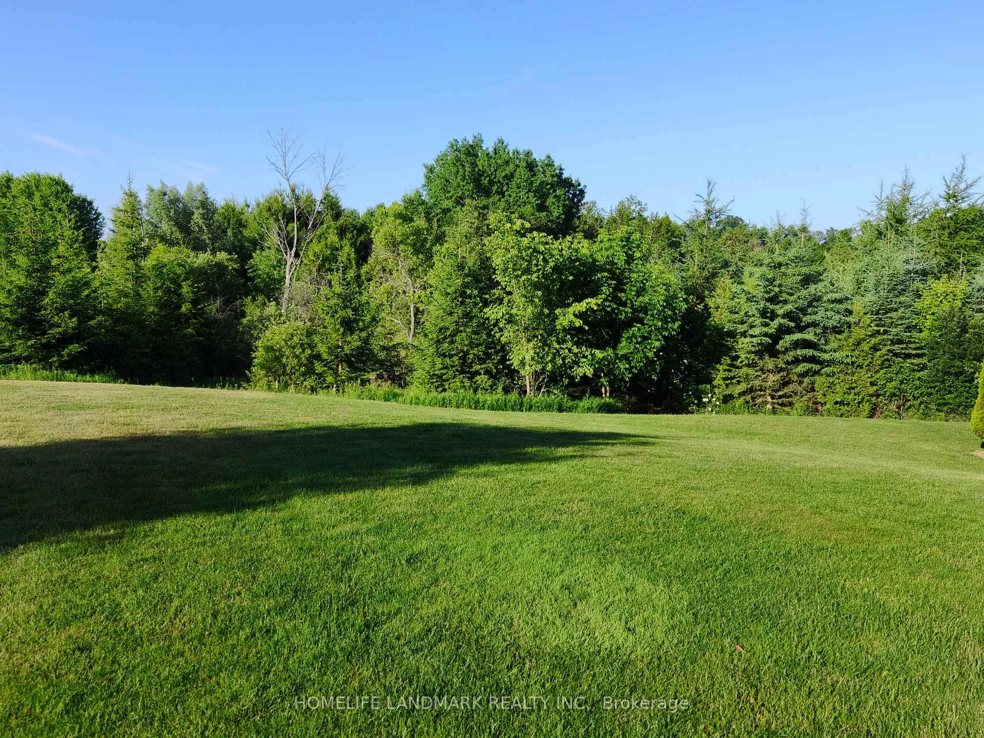 Photo 4 of 26 Diamondwood Drive, Caledon, Palgrave — HOMEH