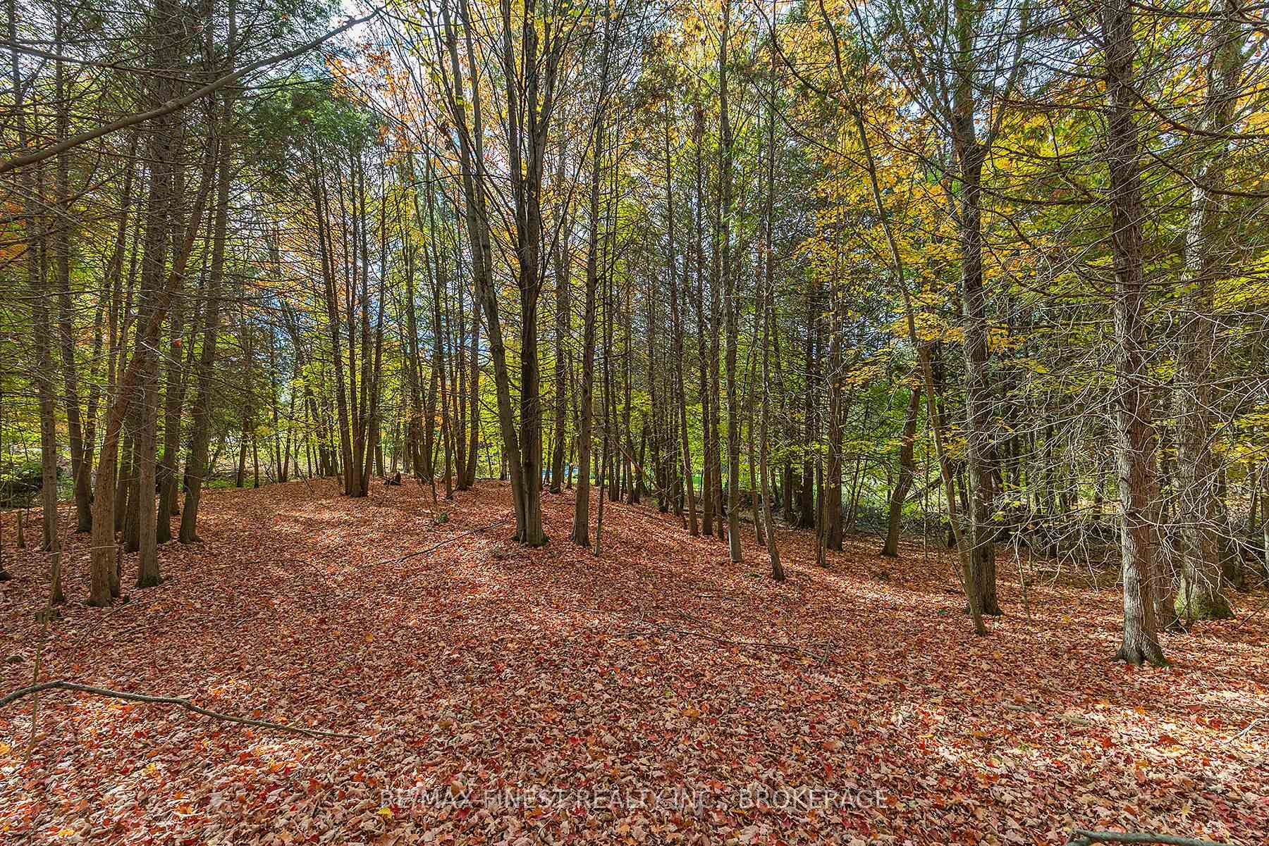 Photo 6 of 00 Cedarwoods Drive, Frontenac, Frontenac South — HOMEH