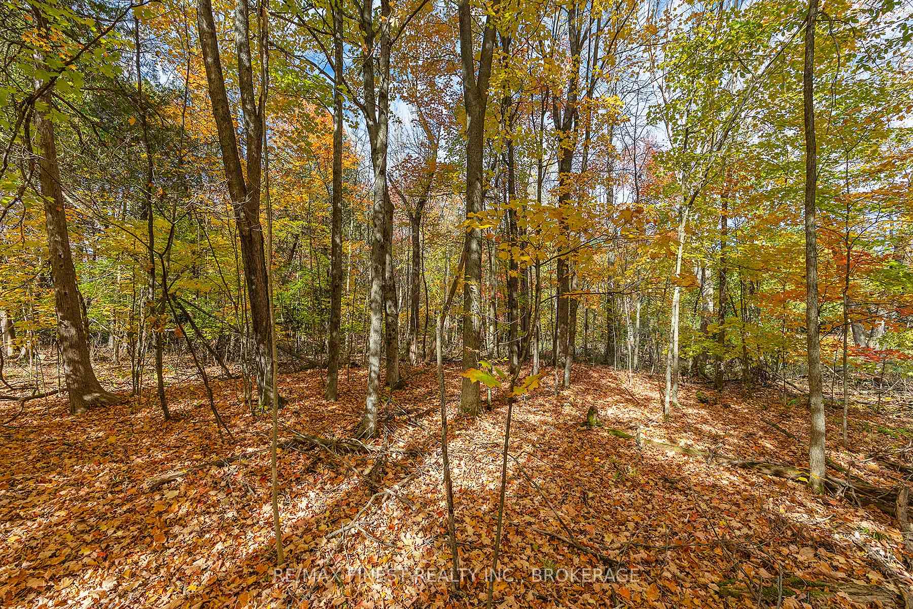 Photo 7 of 00 Cedarwoods Drive, Frontenac, Frontenac South — HOMEH