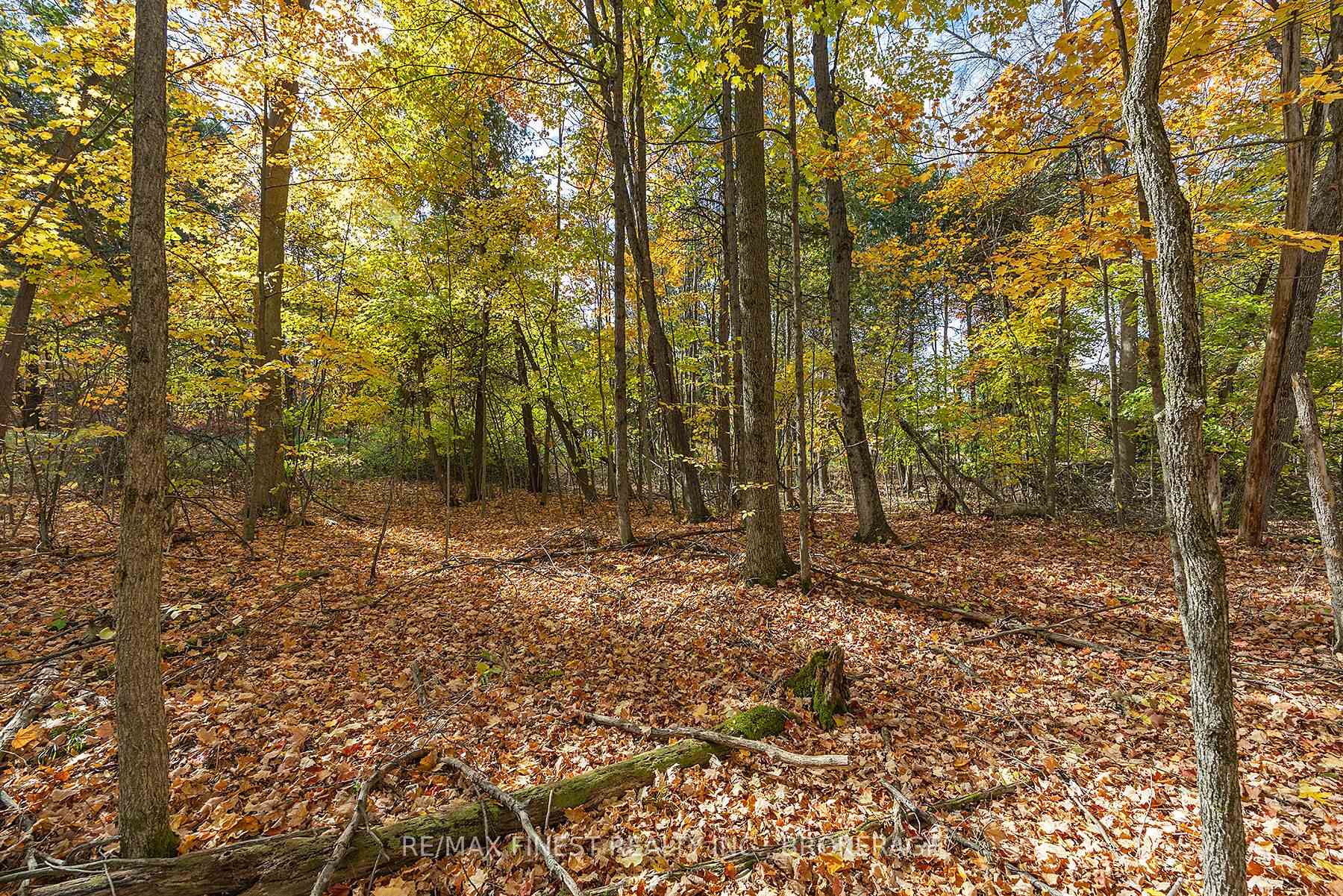 Photo 8 of 00 Cedarwoods Drive, Frontenac, Frontenac South — HOMEH