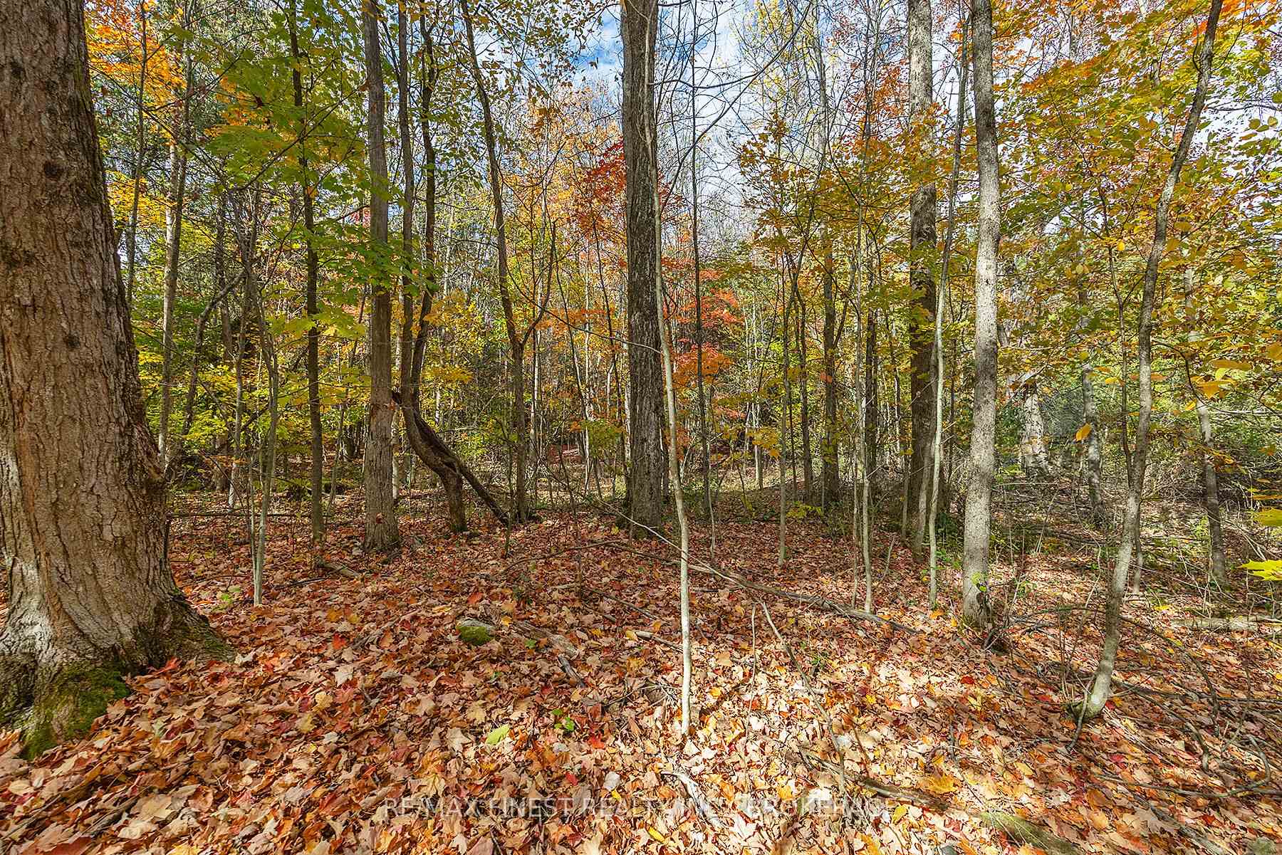 Photo 9 of 00 Cedarwoods Drive, Frontenac, Frontenac South — HOMEH