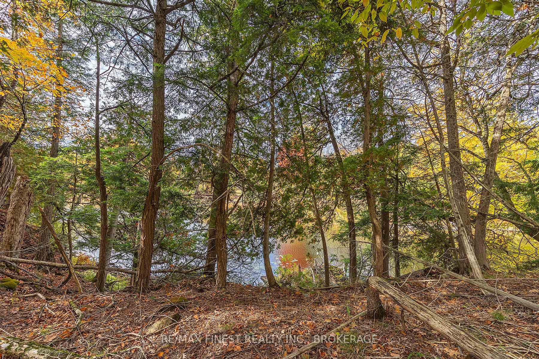 Photo 11 of 00 Cedarwoods Drive, Frontenac, Frontenac South — HOMEH