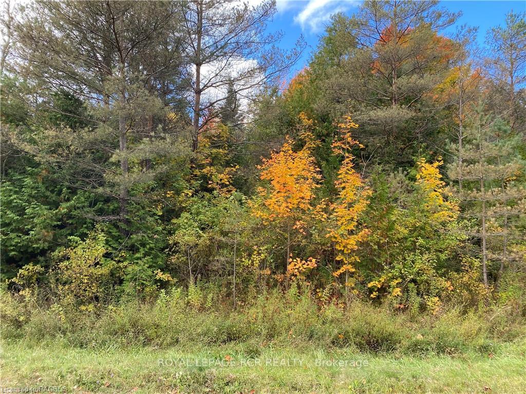 Photo 4 of LOT 19 Confederation Drive, Chatsworth — HOMEH