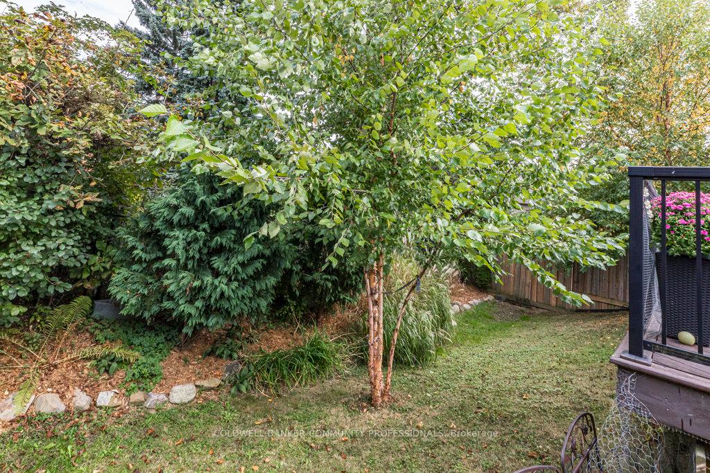 Photo 34 of 14 Stiles Street, Hamilton, Meadowlands — HOMEH