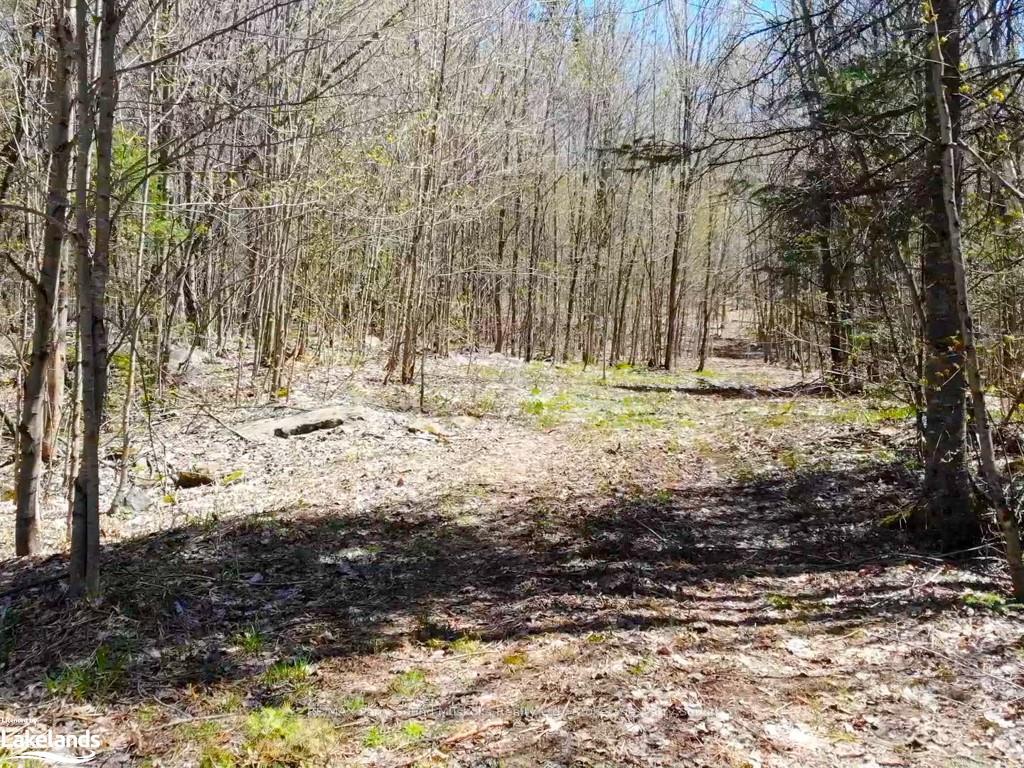 Photo 3 of Hwy 520 N, Magnetawan — HOMEH