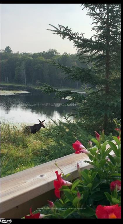Photo 22 of Hwy 520 N, Magnetawan — HOMEH