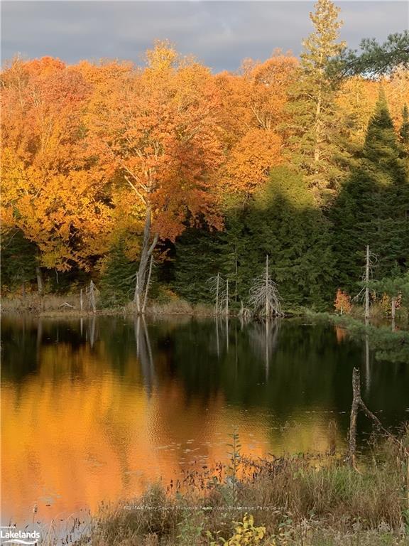 Photo 31 of Hwy 520 N, Magnetawan — HOMEH
