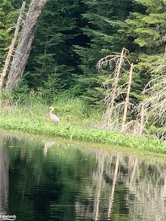 Photo 32 of Hwy 520 N, Magnetawan — HOMEH