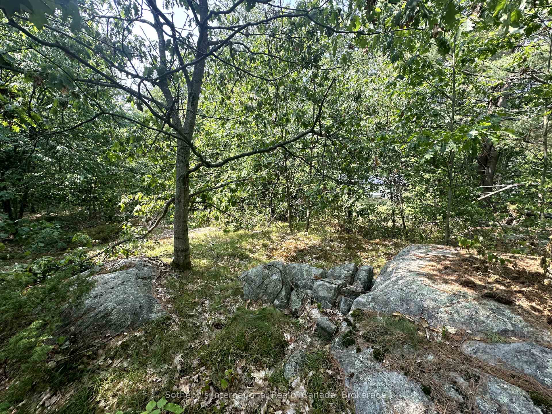 Photo 34 of 1114 Winhara Road, Gravenhurst, Muskoka (S) — HOMEH