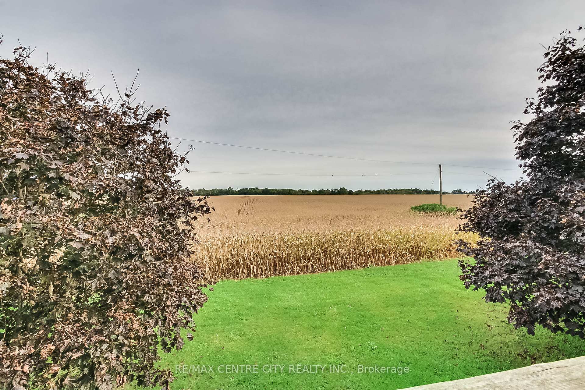 Photo 19 of 31395 Talbot Line, Dutton/Dunwich, Rural Dutton/Dunwich — HOMEH