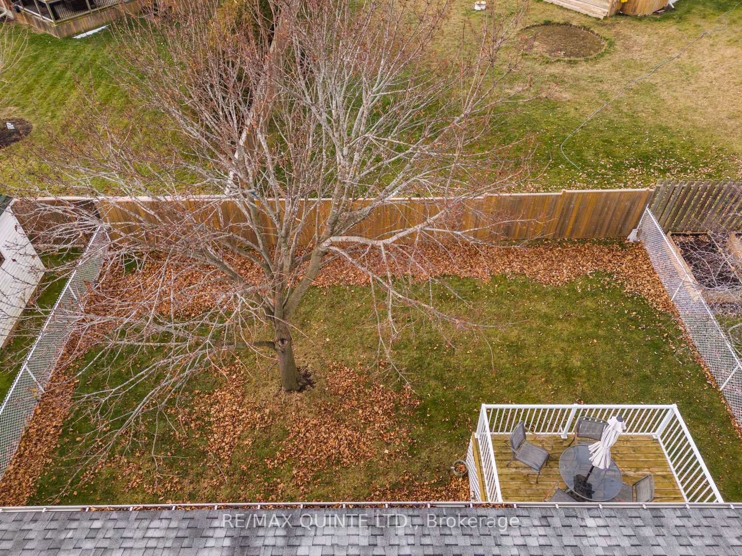 Photo 31 of 102 Cedar Street, Brighton — HOMEH