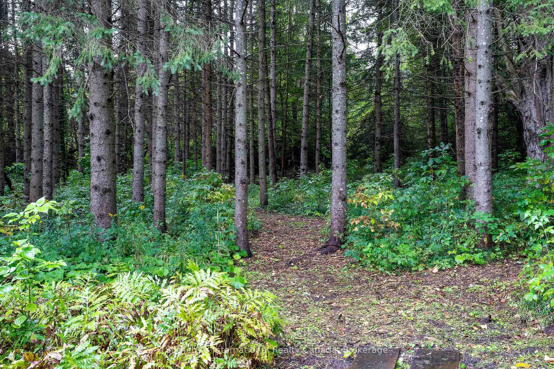 Photo 40 of 5 Purple Hill Lane, Clearview, Creemore — HOMEH
