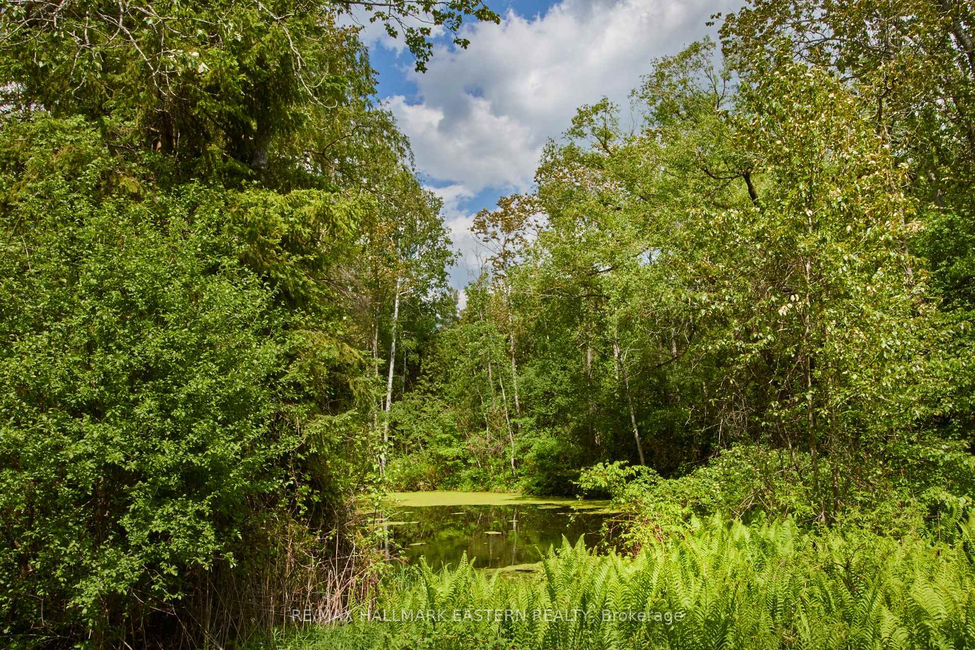 Photo 5 of 664 Syer Line, Cavan Monaghan, Cavan Twp — HOMEH