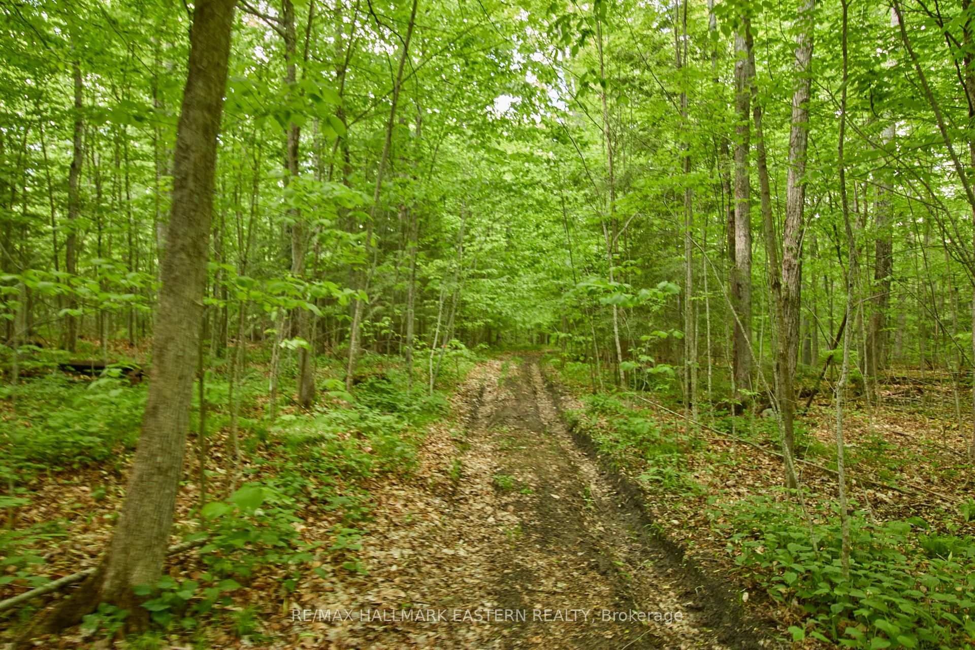 Photo 22 of 664 Syer Line, Cavan Monaghan, Cavan Twp — HOMEH