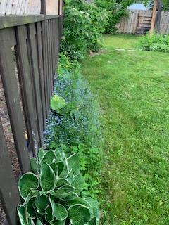 Photo 22 of 214 Eliza Street, Clearview, Stayner — HOMEH