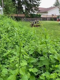 Photo 36 of 214 Eliza Street, Clearview, Stayner — HOMEH