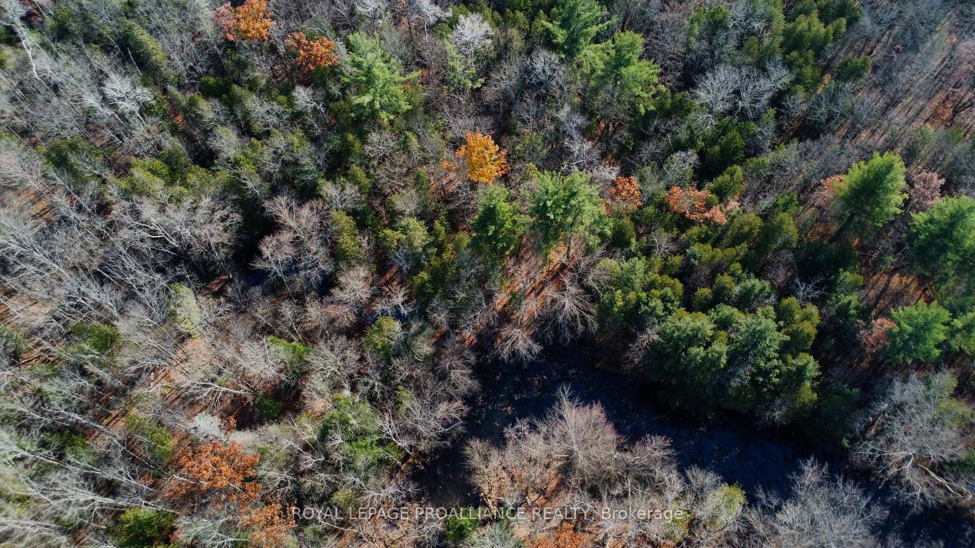 Photo 26 of Unit Lot B, Storms Road, Stirling-Rawdon, Rawdon Ward — HOMEH