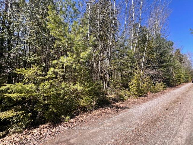 Photo 30 of Unit Lot B, Storms Road, Stirling-Rawdon, Rawdon Ward — HOMEH