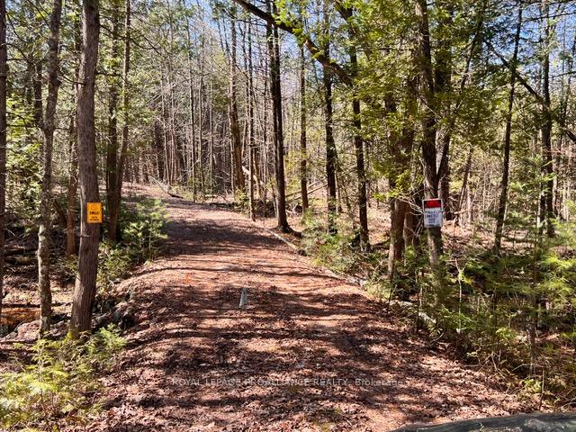 Photo 31 of Unit Lot B, Storms Road, Stirling-Rawdon, Rawdon Ward — HOMEH