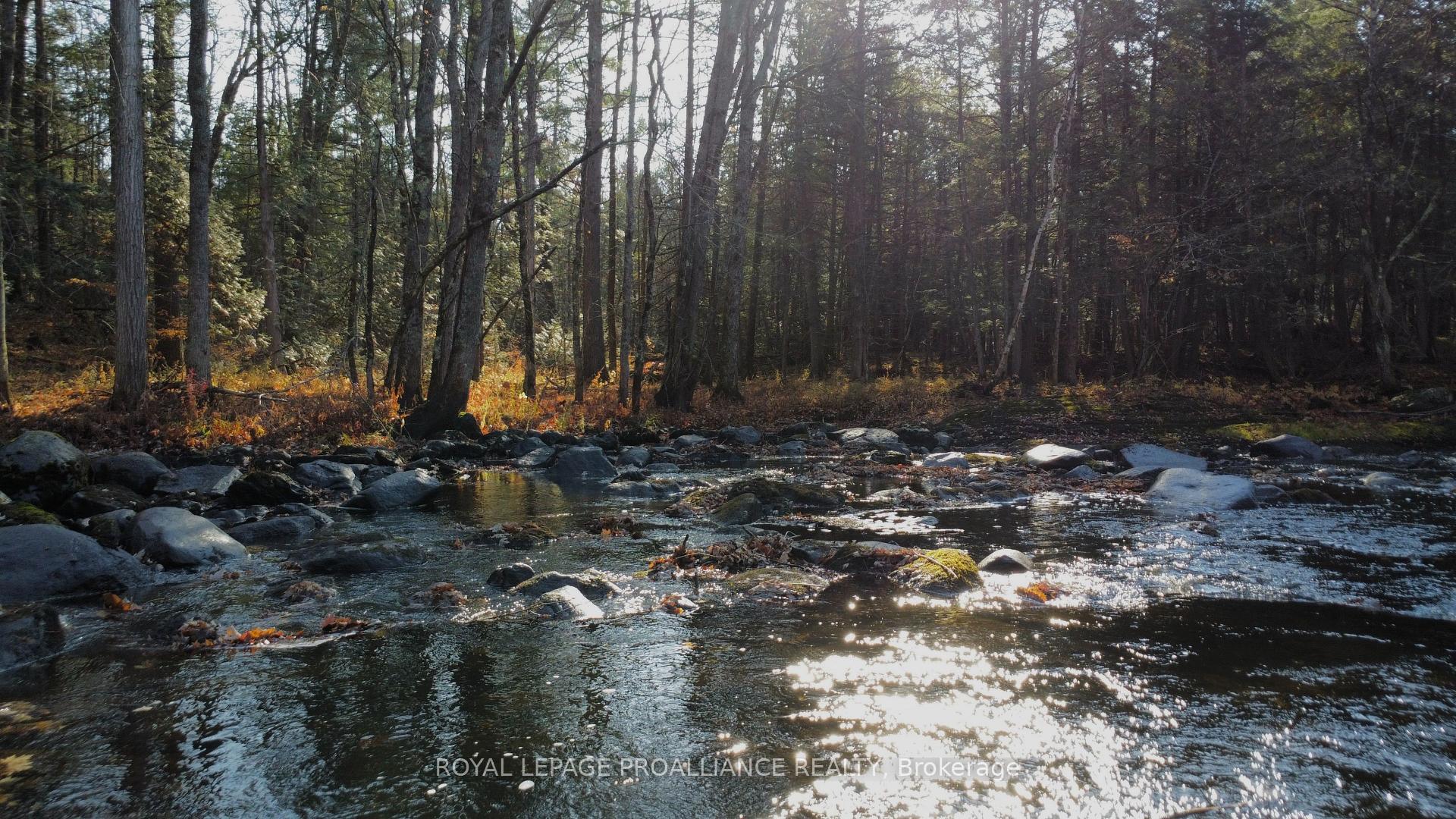 Photo 4 of Unit Lot B, Storms Road, Stirling-Rawdon, Rawdon Ward — HOMEH