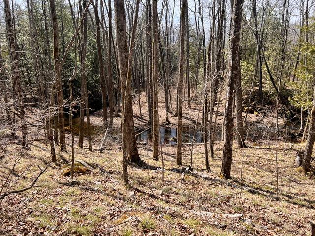 Photo 13 of Unit Lot B, Storms Road, Stirling-Rawdon, Rawdon Ward — HOMEH
