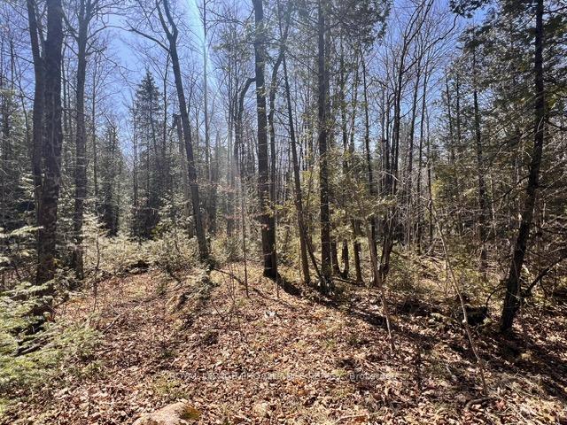 Photo 14 of Unit Lot B, Storms Road, Stirling-Rawdon, Rawdon Ward — HOMEH
