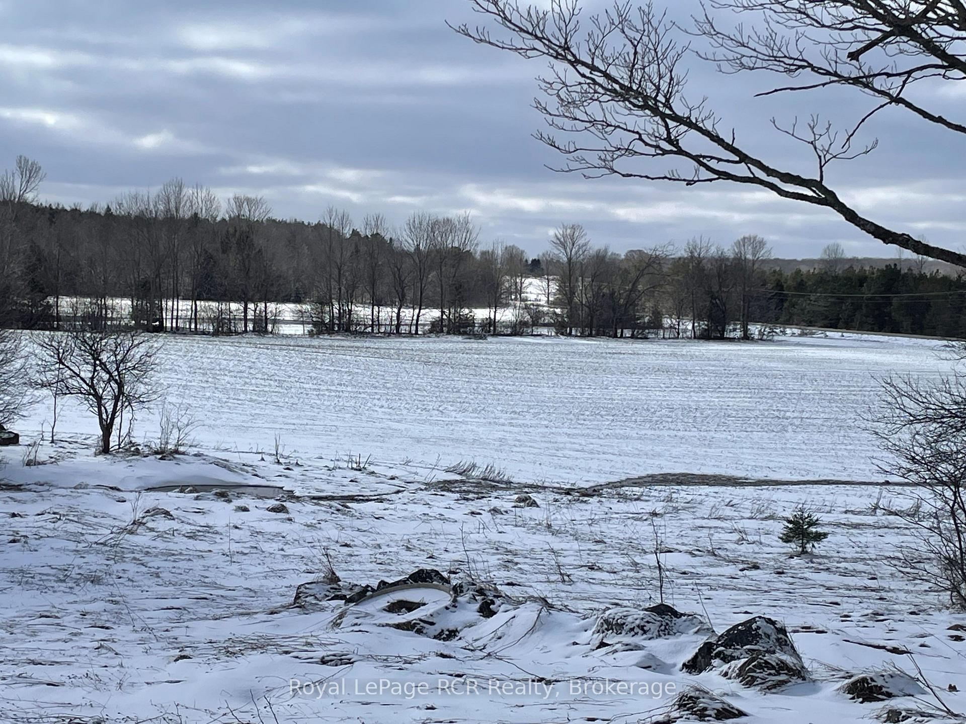 Photo 3 of 584140 Sideroad 60, Chatsworth — HOMEH
