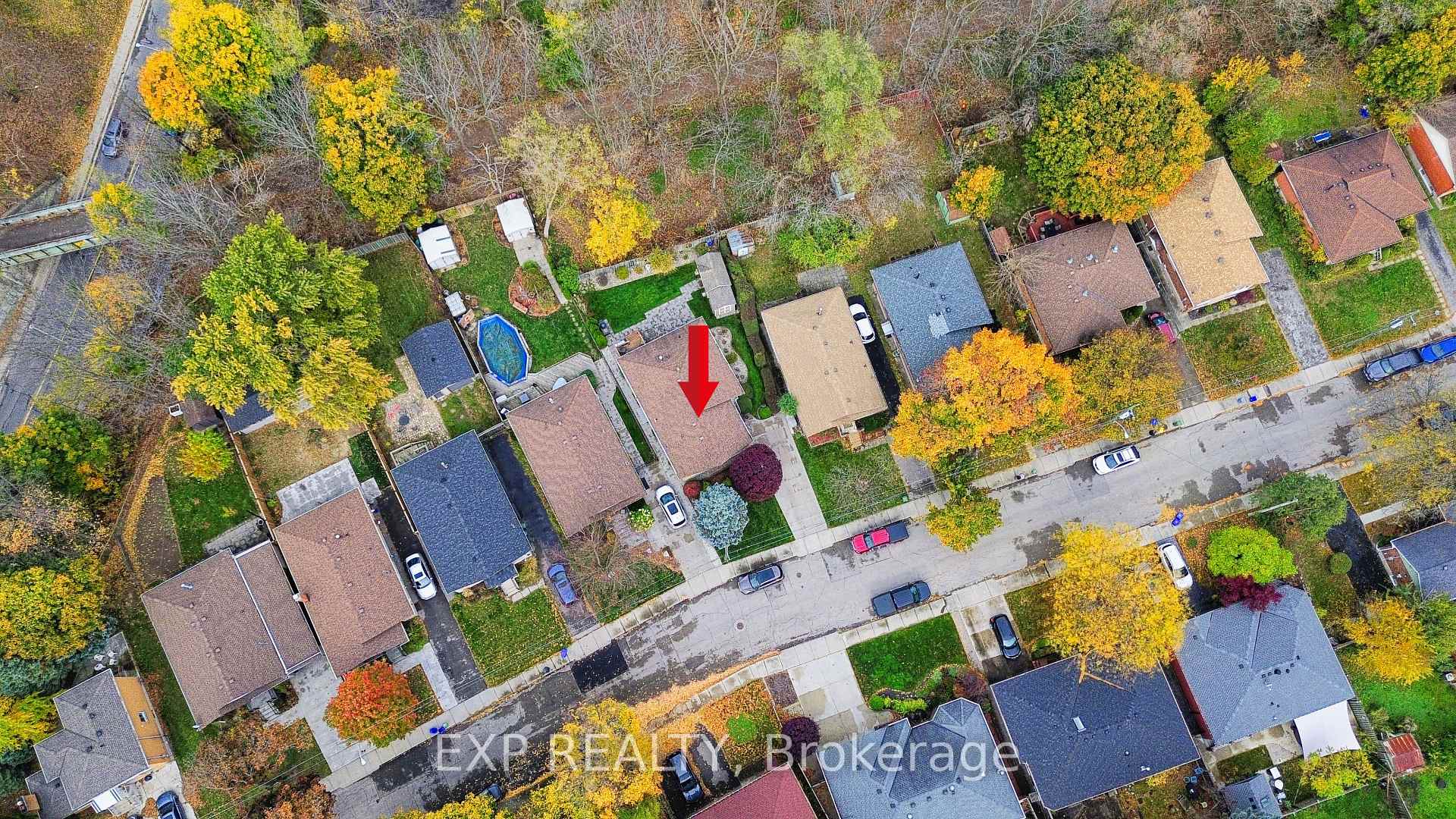 Photo 37 of 28 Ramsey Crescent, Hamilton, Ainslie Wood — HOMEH