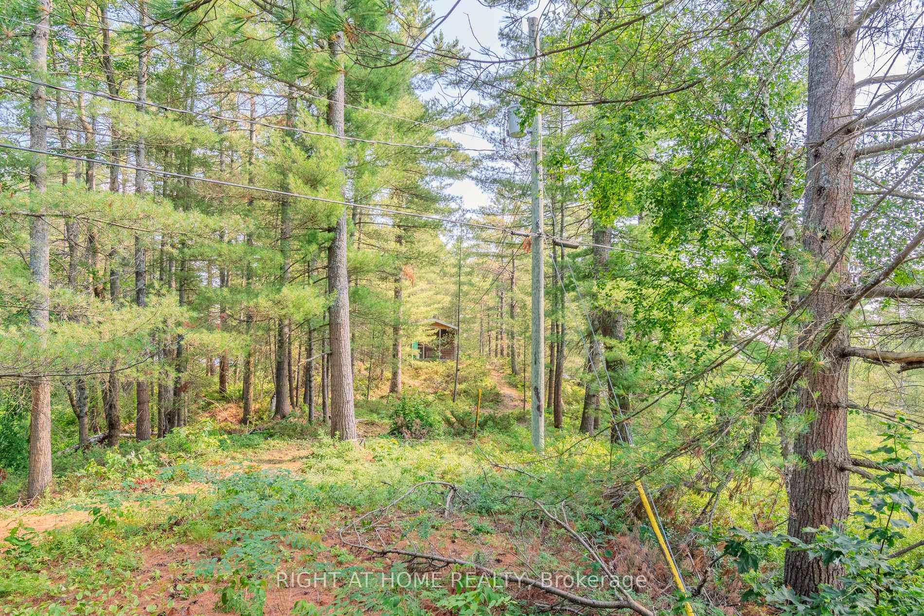 Photo 32 of 1KL 7 Cranberry Island, Gravenhurst, Morrison — HOMEH