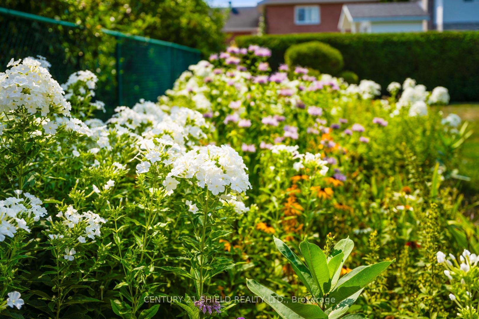 Photo 15 of 1989 Belvedere Crescent, Cornwall — HOMEH