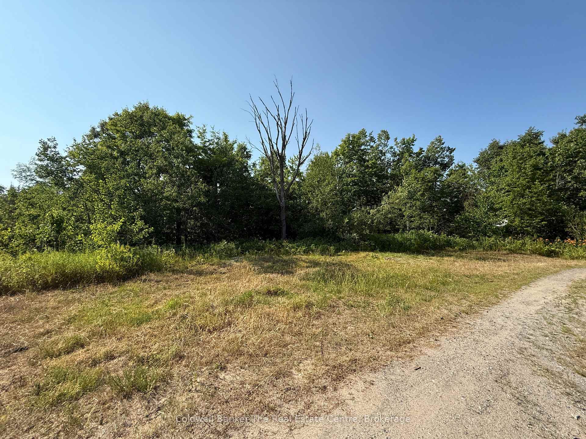 Photo 14 of 1087 Merkley Road, Gravenhurst, Ryde — HOMEH