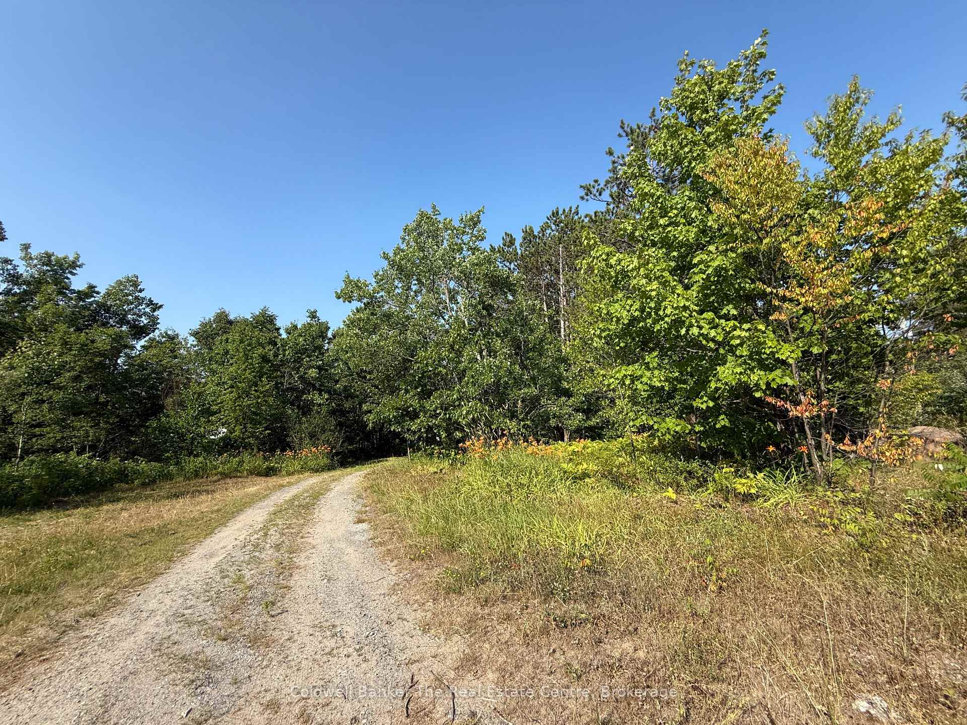 Photo 15 of 1087 Merkley Road, Gravenhurst, Ryde — HOMEH