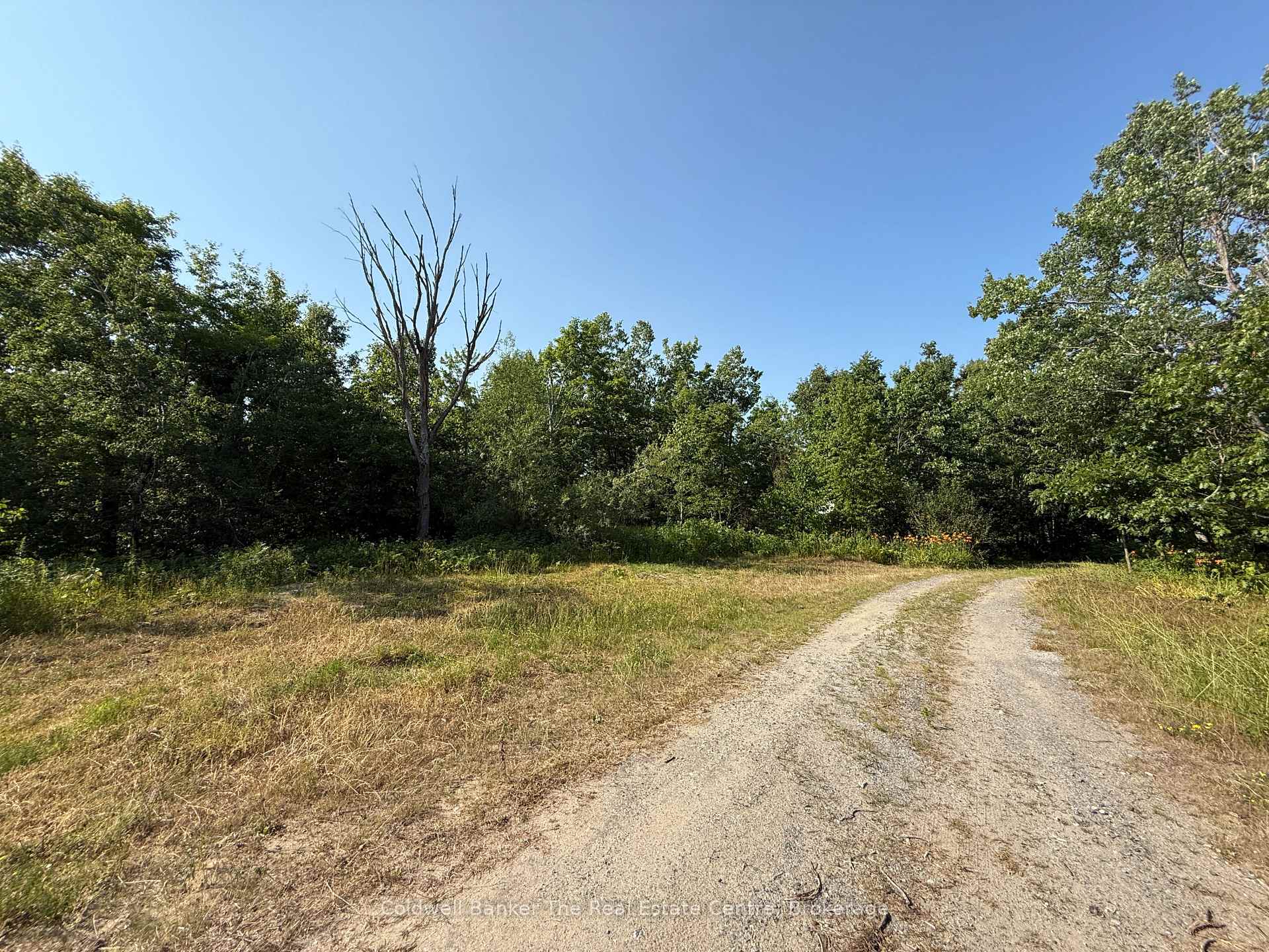 Photo 16 of 1087 Merkley Road, Gravenhurst, Ryde — HOMEH