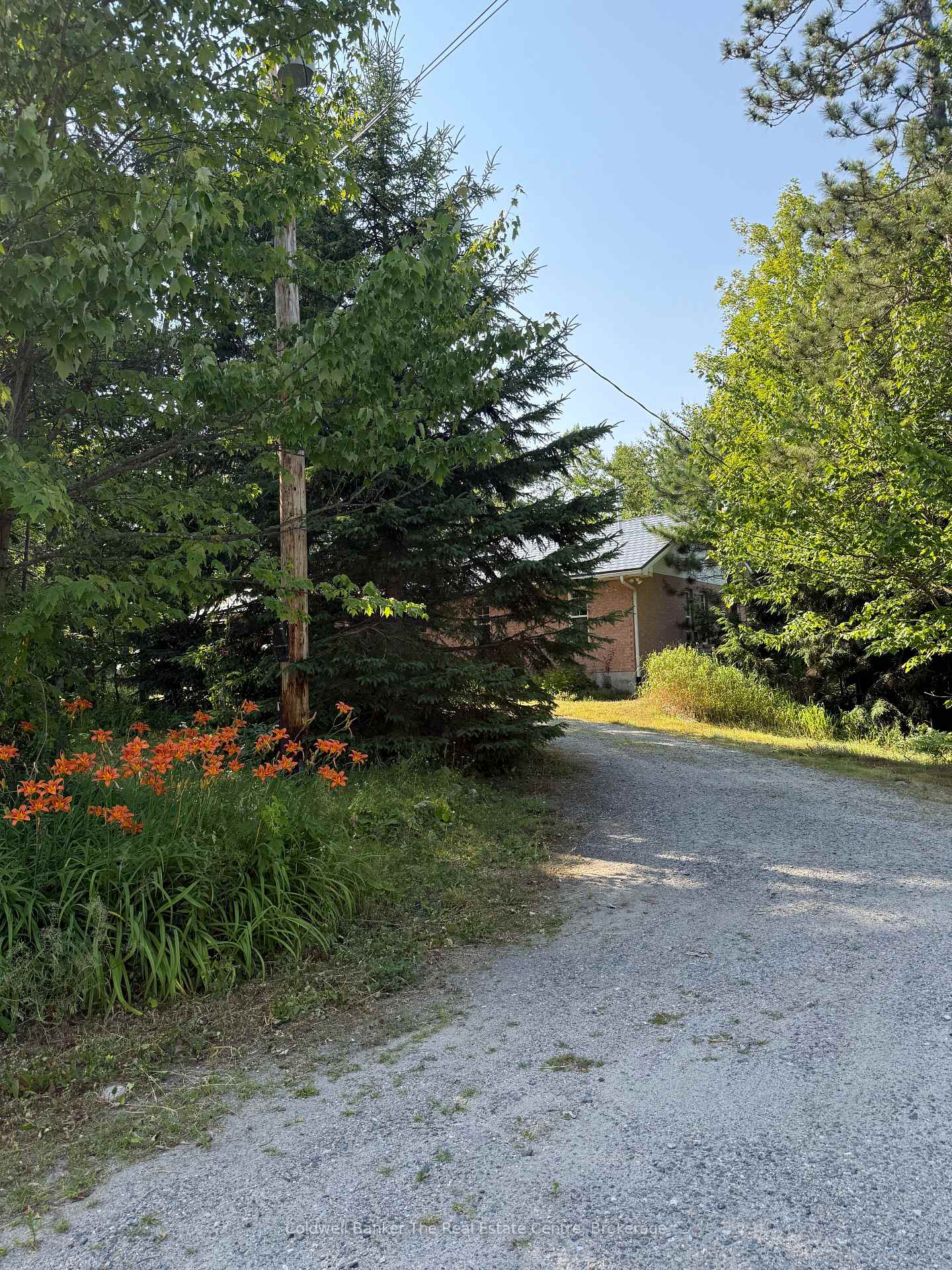 Photo 17 of 1087 Merkley Road, Gravenhurst, Ryde — HOMEH