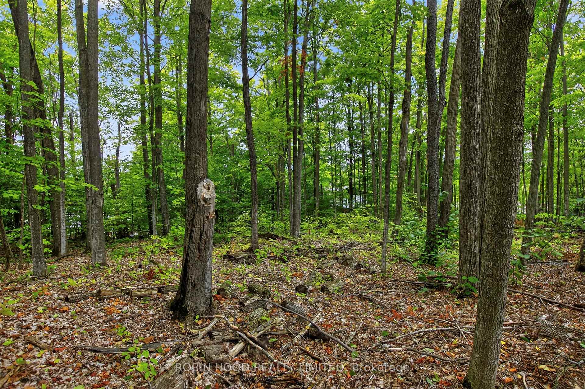 Photo 41 of 1348 County Road 4, Douro-Dummer — HOMEH