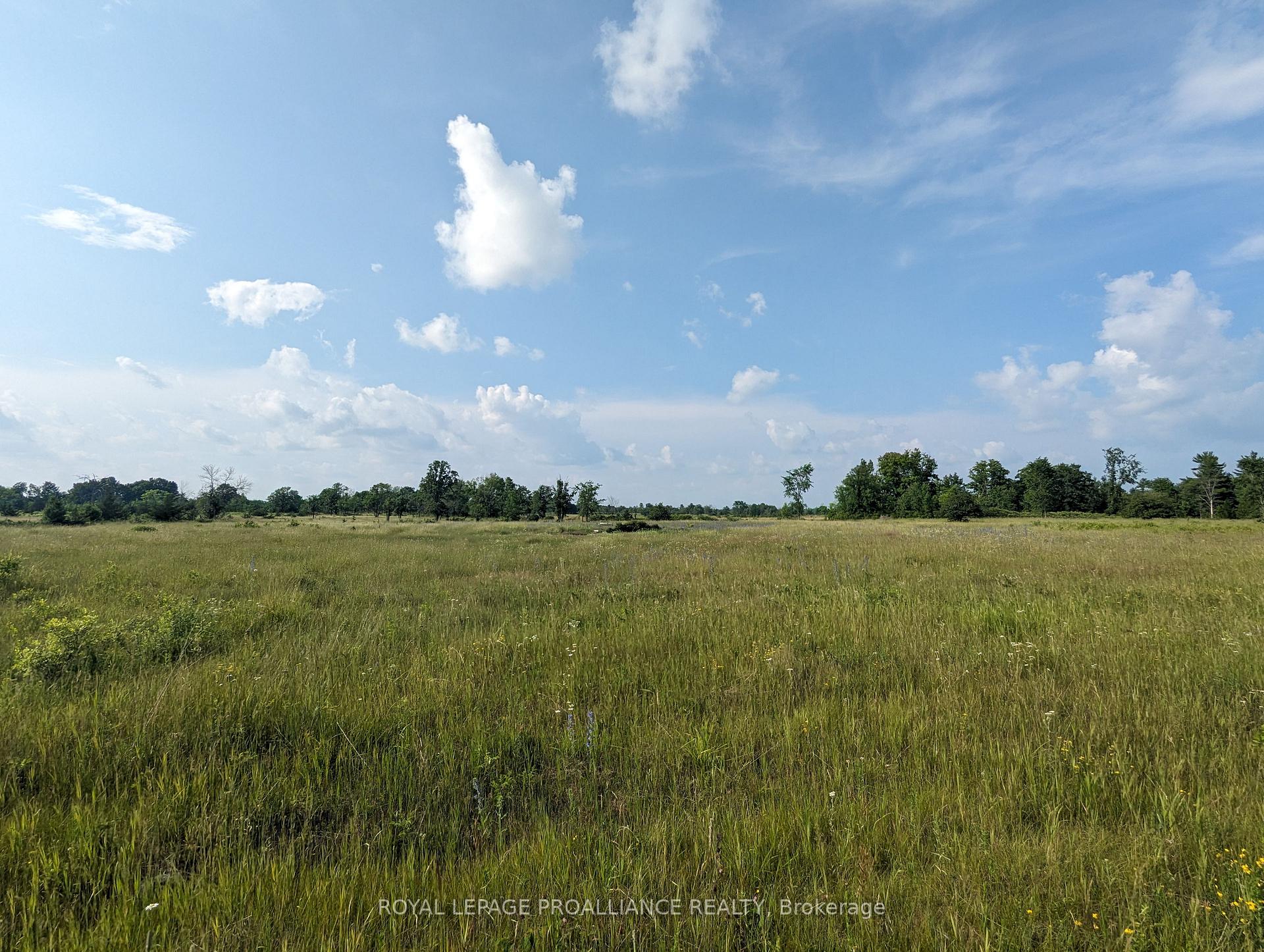 Photo 2 of 0 (B) Springbrook Road, Stirling-Rawdon, Stirling Ward — HOMEH