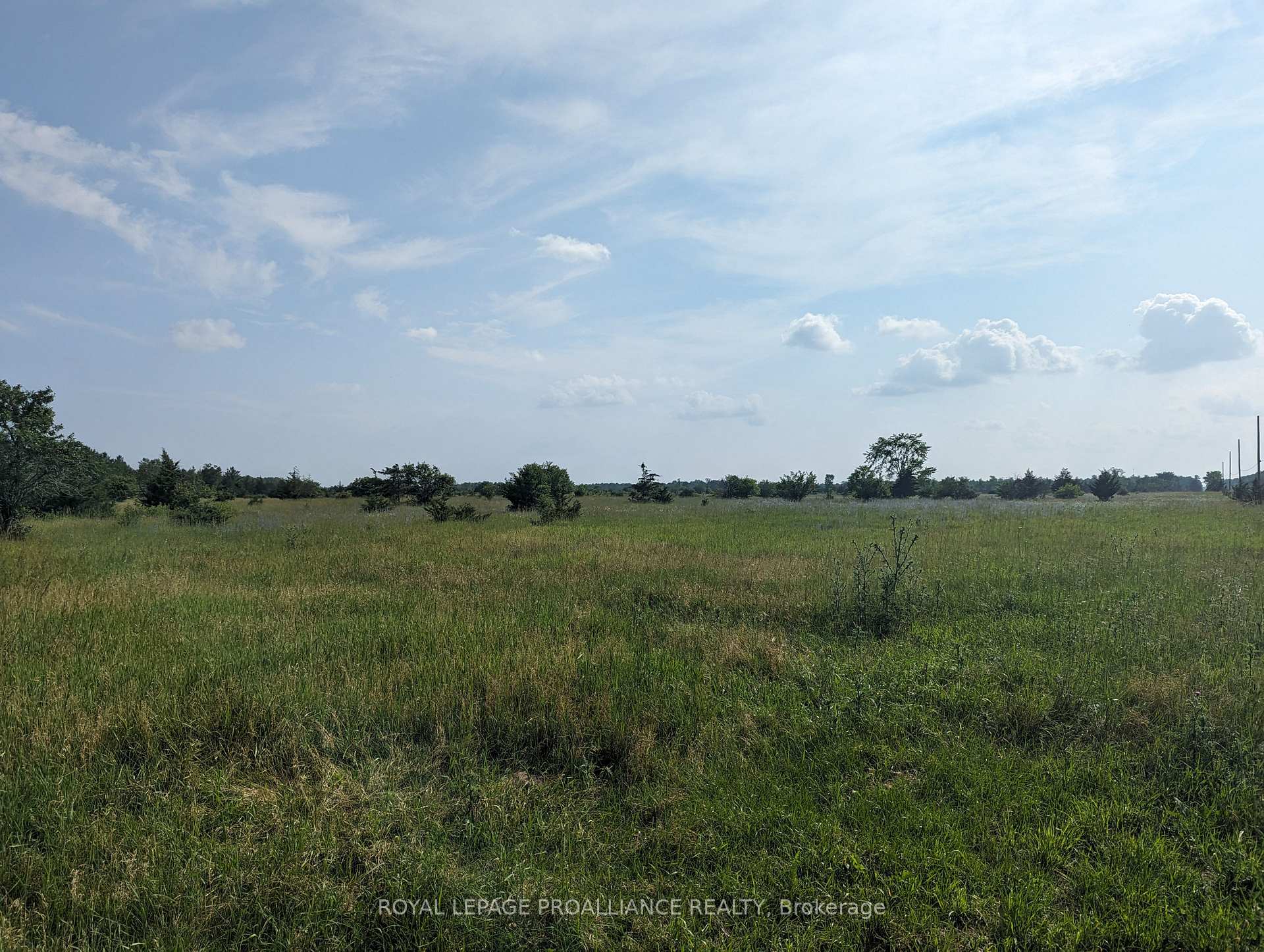 Photo 1 of 0 (A) Springbrook Road, Stirling-Rawdon, Stirling Ward — HOMEH