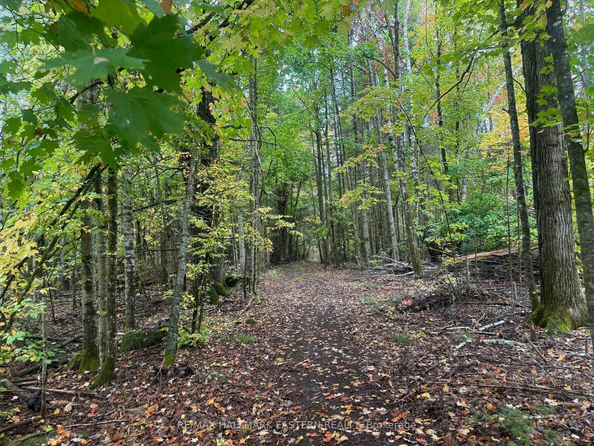 Photo 1 of Forbes Lane, Douro-Dummer — HOMEH