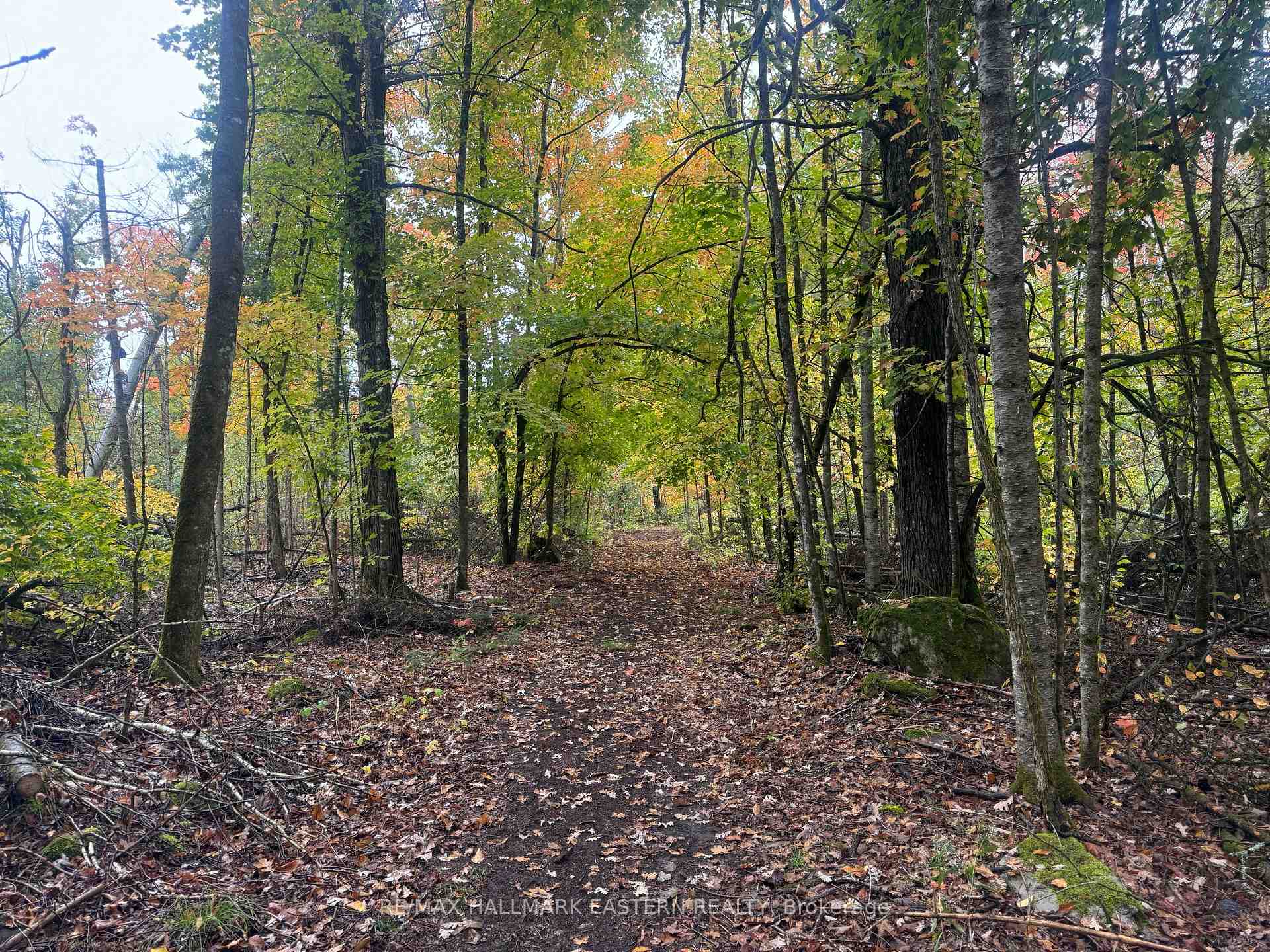 Photo 2 of Forbes Lane, Douro-Dummer — HOMEH