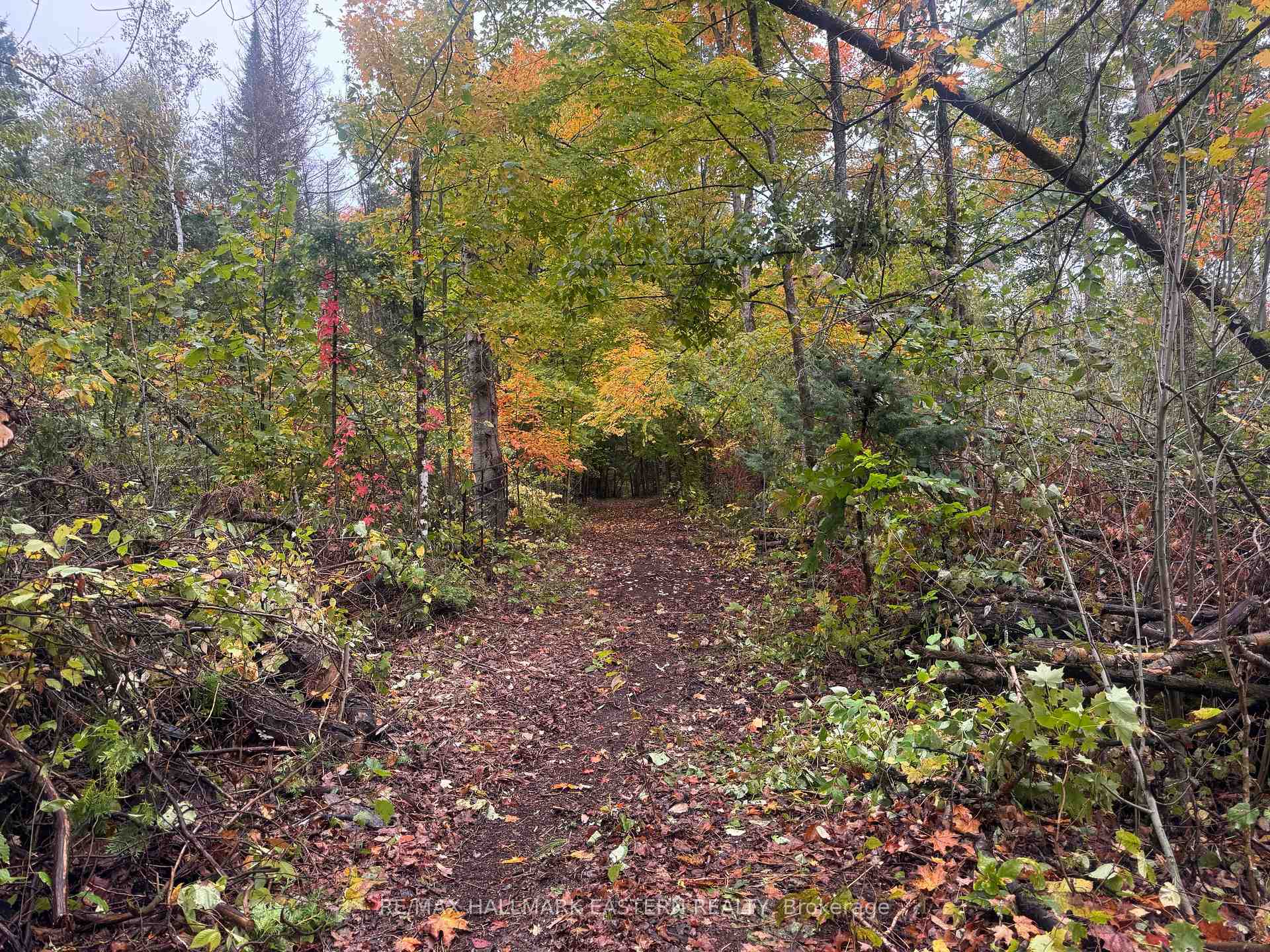 Photo 3 of Forbes Lane, Douro-Dummer — HOMEH