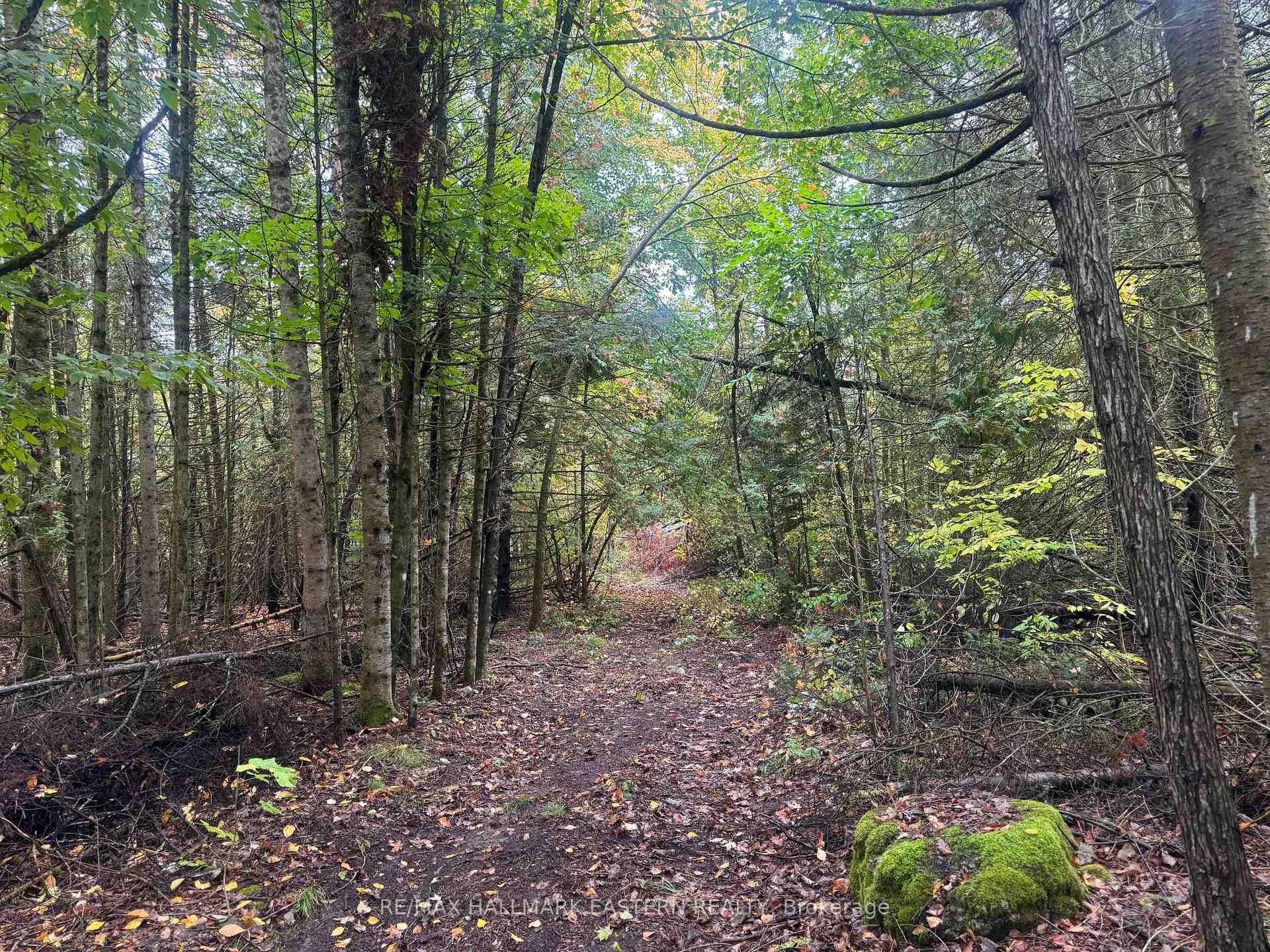 Photo 4 of Forbes Lane, Douro-Dummer — HOMEH